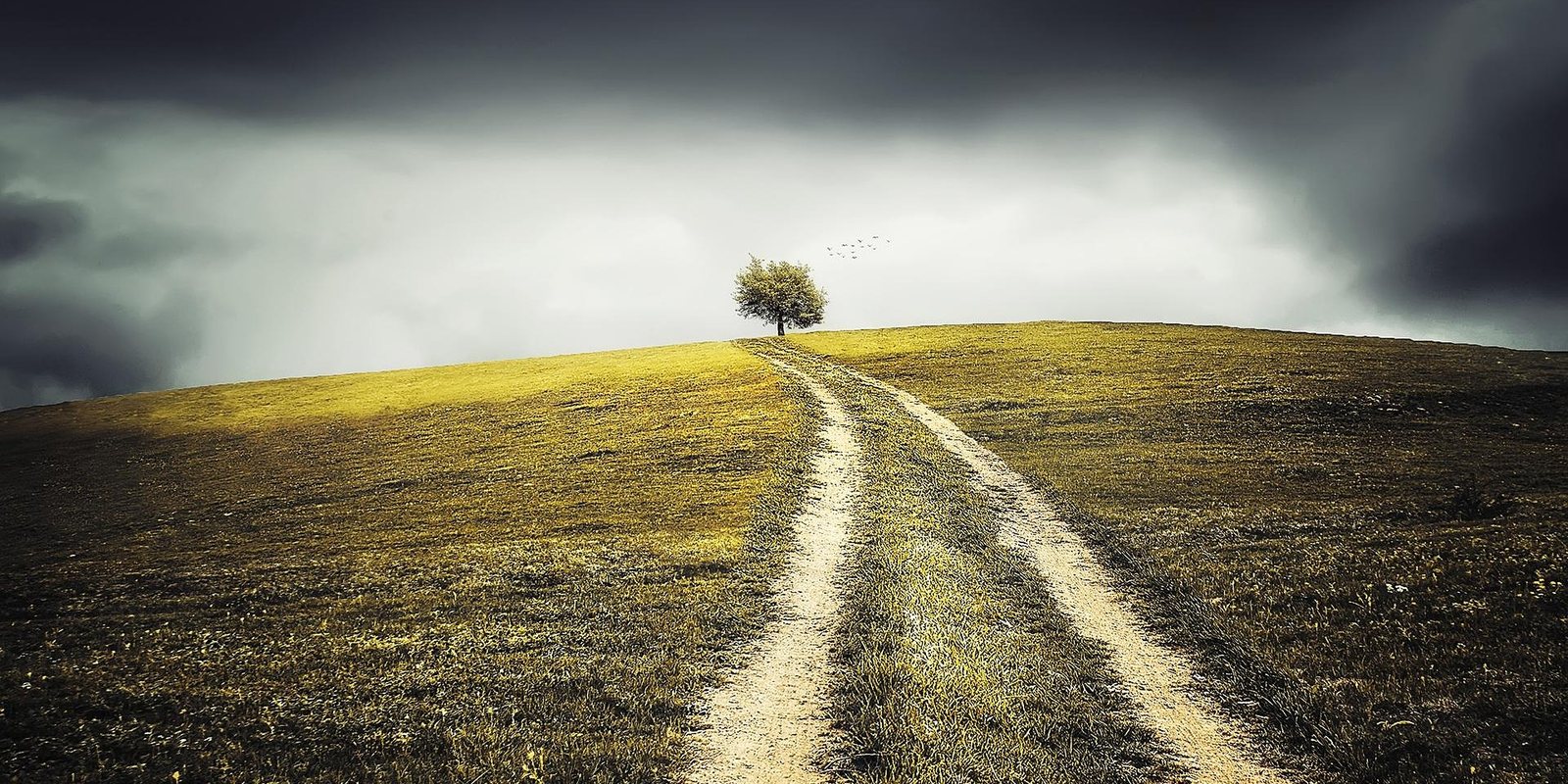 Ein Weg &uuml;ber einen H&uuml;gel zu einem einzelnen Baum unter Gewitterhimmel